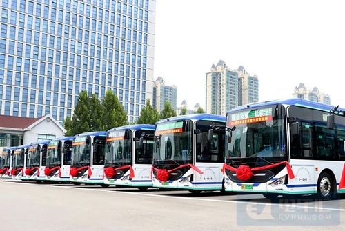 逐步取消新能源車購(gòu)買限制，助力城市配送運(yùn)輸服務(wù)升級(jí)